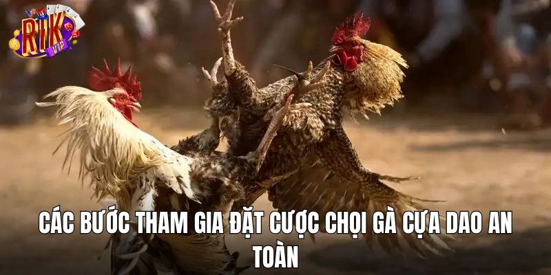 Các bước tham gia đặt cược chọi gà cựa dao an toàn