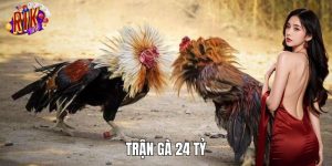 Trận Gà 24 Tỷ RIKVIP – Trận Đấu Kinh Điển Từ 2 Chiến Kê Hot